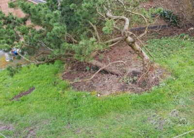 jg property image newest 23