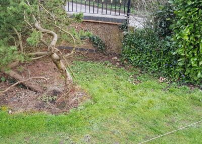 jg property image newest 24