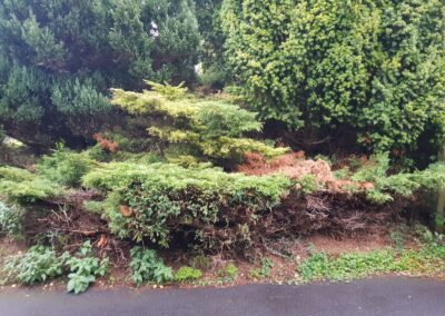 jg property image newest 51