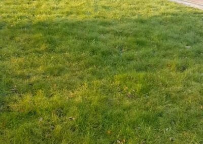 jg property image newest 81