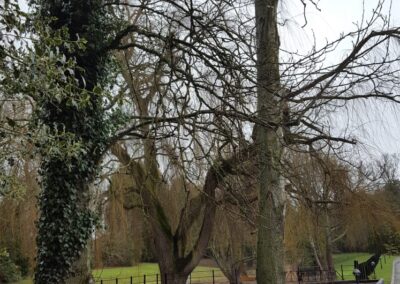 jg property image newest 93