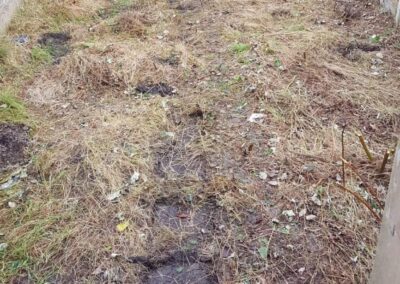 jg property image newest72